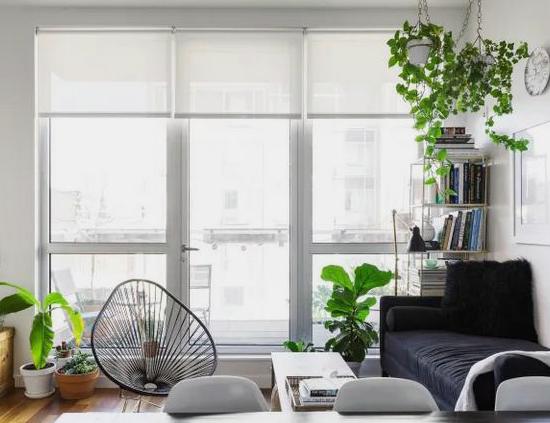 Rem-cho-cua-so-dep (16)