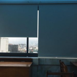 rem-ngoai-troi-rnt-004