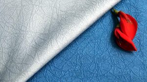 rem-cua-don-tet-canh-ty-1