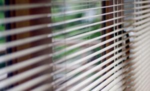 rem-sao-nhom-dai-dien